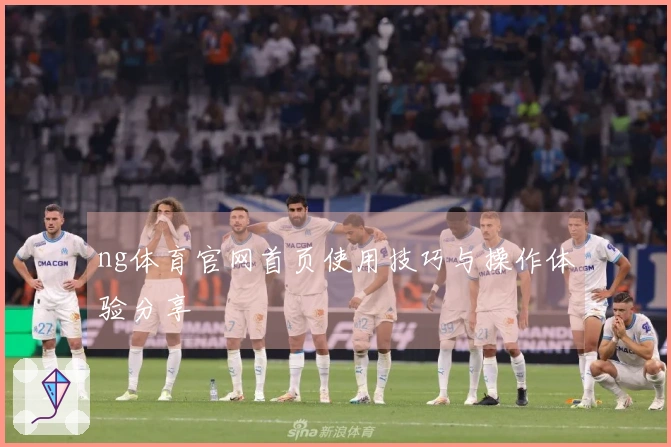 ng体育官网首页使用技巧与操作体验分享