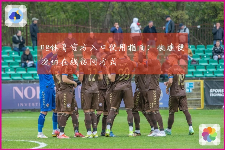 ng体育官方入口使用指南：快速便捷的在线访问方式