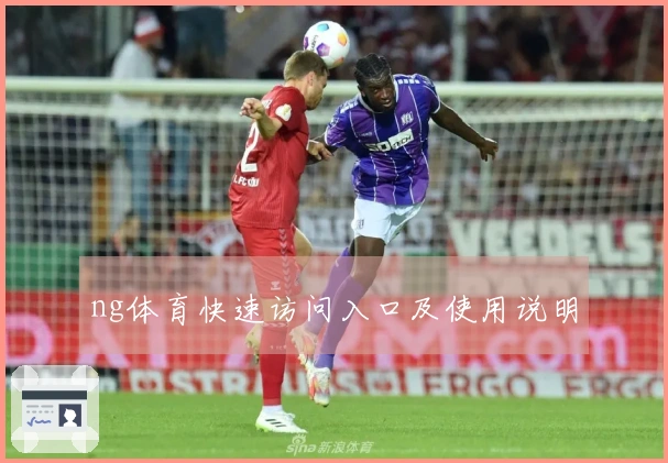 ng体育快速访问入口及使用说明