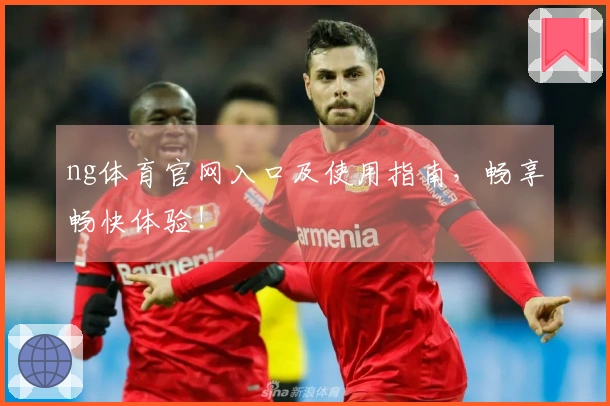 ng体育官网入口及使用指南，畅享畅快体验！
