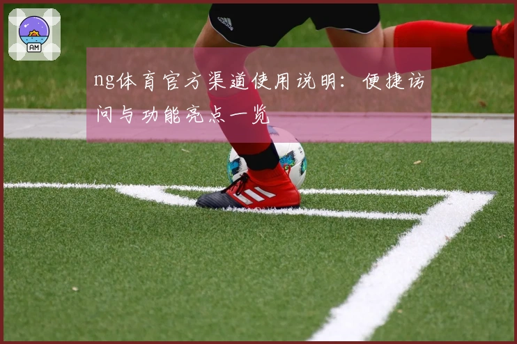 ng体育官方渠道使用说明：便捷访问与功能亮点一览