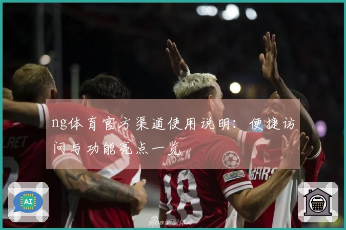 ng体育官方渠道使用说明：便捷访问与功能亮点一览