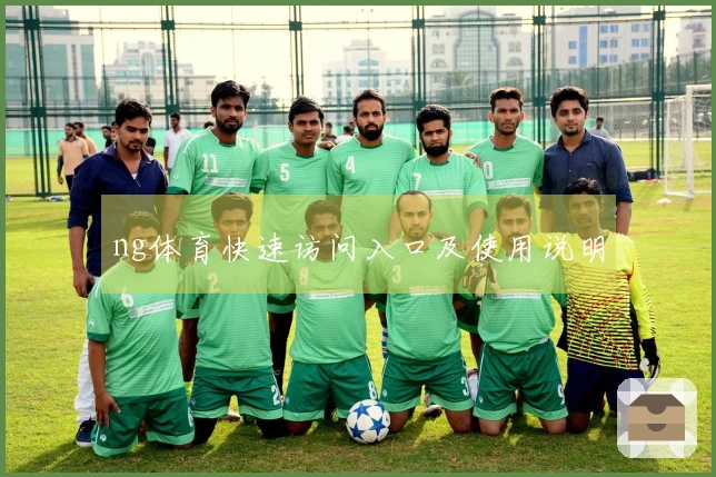 ng体育快速访问入口及使用说明