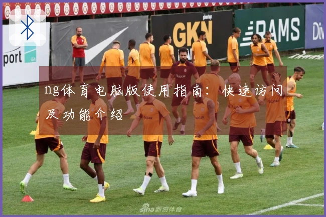 ng体育电脑版使用指南：快速访问及功能介绍